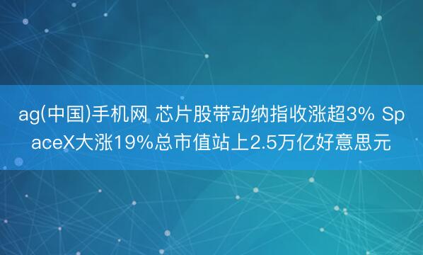 ag(中国)手机网 芯片股带动纳指收涨超3% SpaceX大涨19%总市值站上2.5万亿好意思元