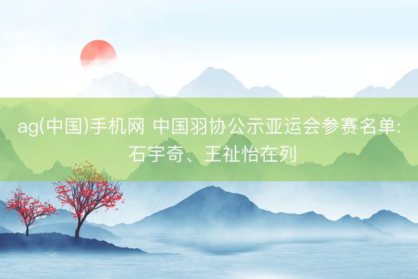 ag(中国)手机网 中国羽协公示亚运会参赛名单: 石宇奇、王祉怡在列
