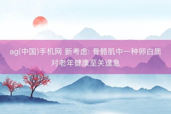 ag(中国)手机网 新考虑: 骨骼肌中一种卵白质对老年健康至关遑急