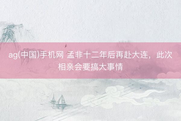 ag(中国)手机网 孟非十二年后再赴大连,此次相亲会要搞大事情