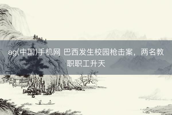 ag(中国)手机网 巴西发生校园枪击案，两名教职职工升天