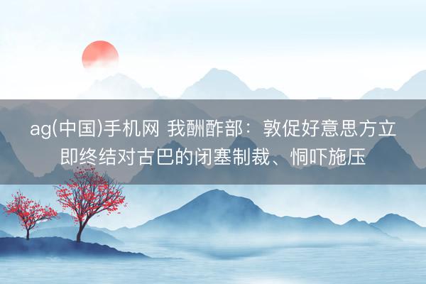ag(中国)手机网 我酬酢部:敦促好意思方立即终结对古巴的闭塞制裁、恫吓施压