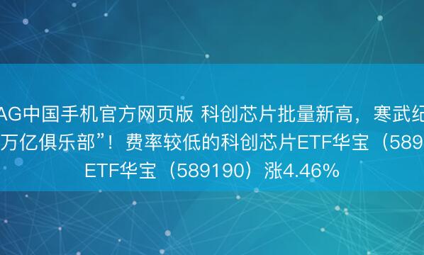 AG中国手机官方网页版 科创芯片批量新高，寒武纪猛攻14%剑指“万亿俱乐部”！费率较低的科创芯片ETF华宝（589190）涨4.46%